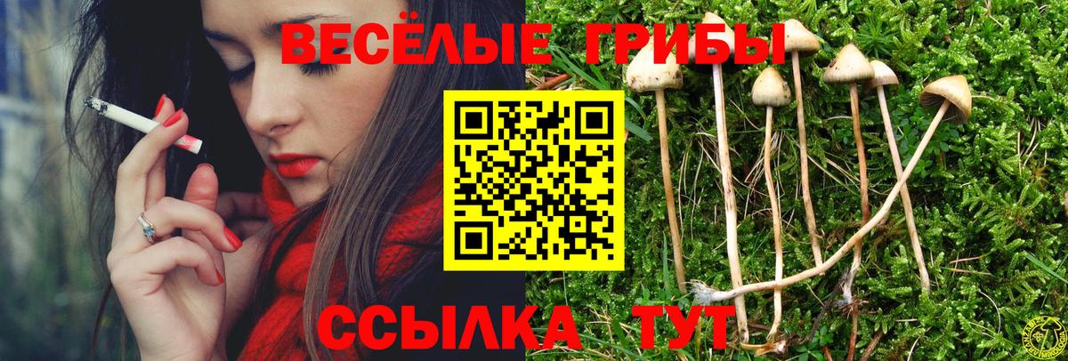 Псилоцибиновые грибы мухоморы Гуково